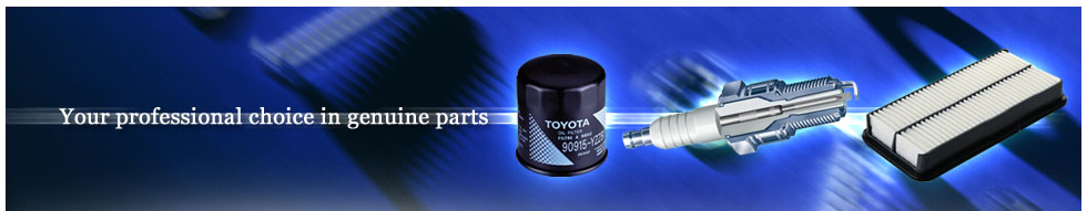 Your professional choice in genuine parts